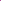 Dahlienkollektion 'Purple Favorites'