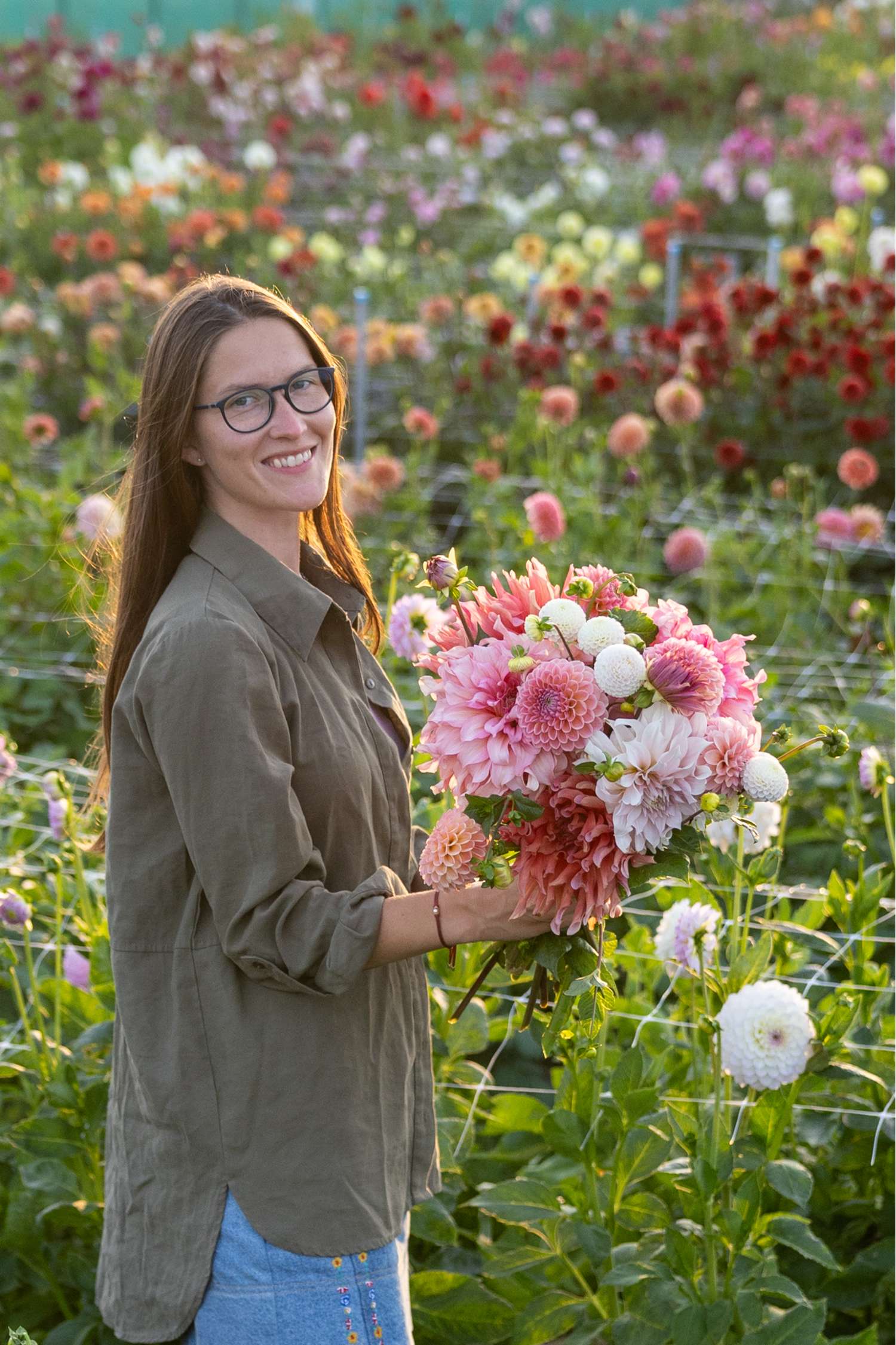 Dahlienkollektion 'Watermelon Shake'